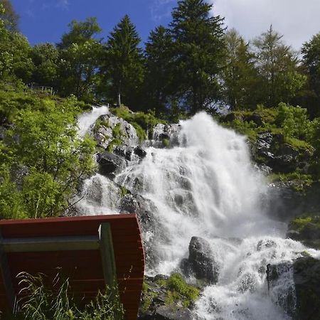 Waldlicht Titisee Luaran gambar
