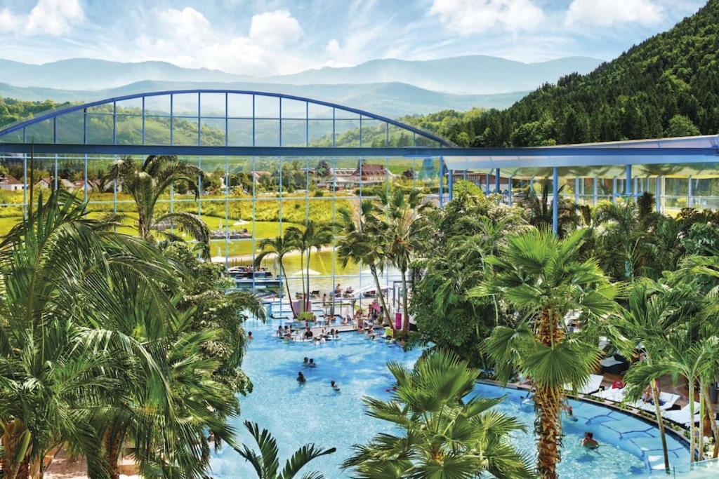 Waldlicht Titisee Luaran gambar