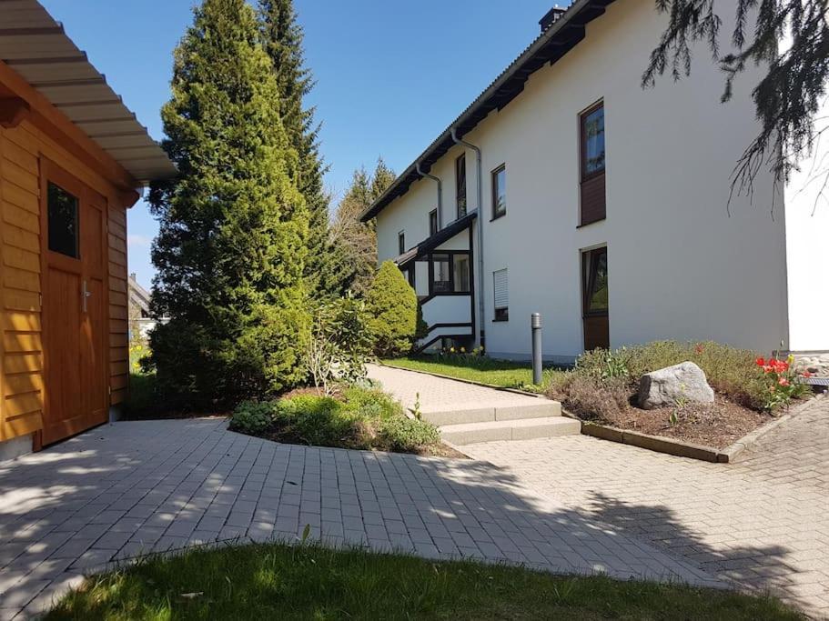 Waldlicht Titisee Luaran gambar