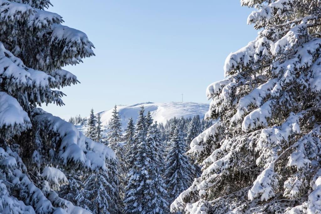 Waldlicht Titisee Luaran gambar