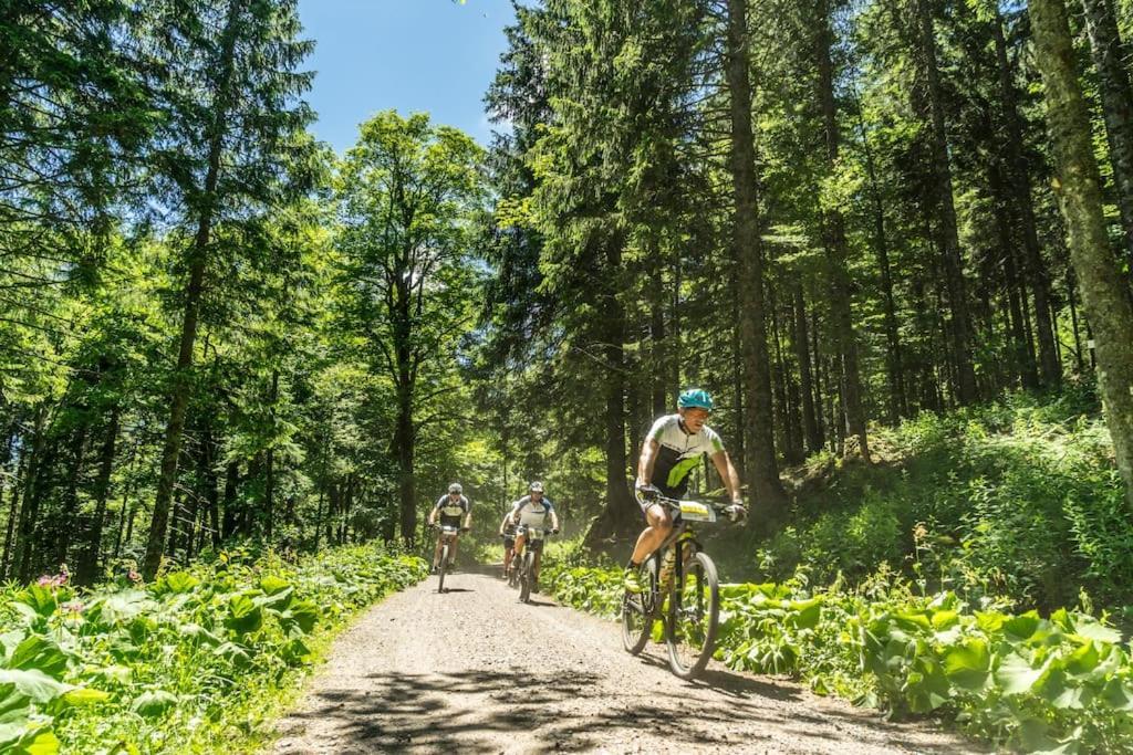 Waldlicht Titisee Luaran gambar