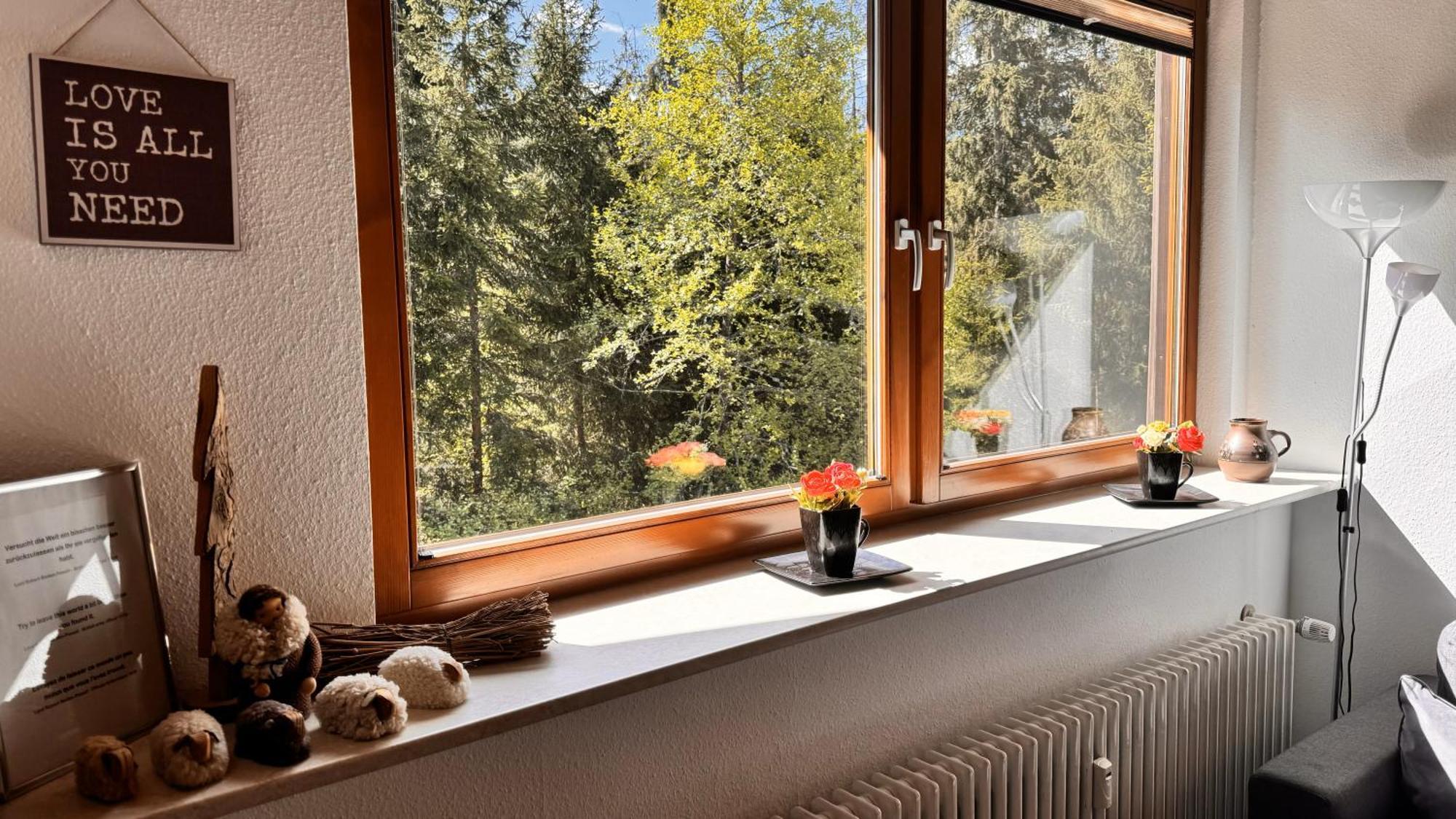Waldlicht Titisee Luaran gambar