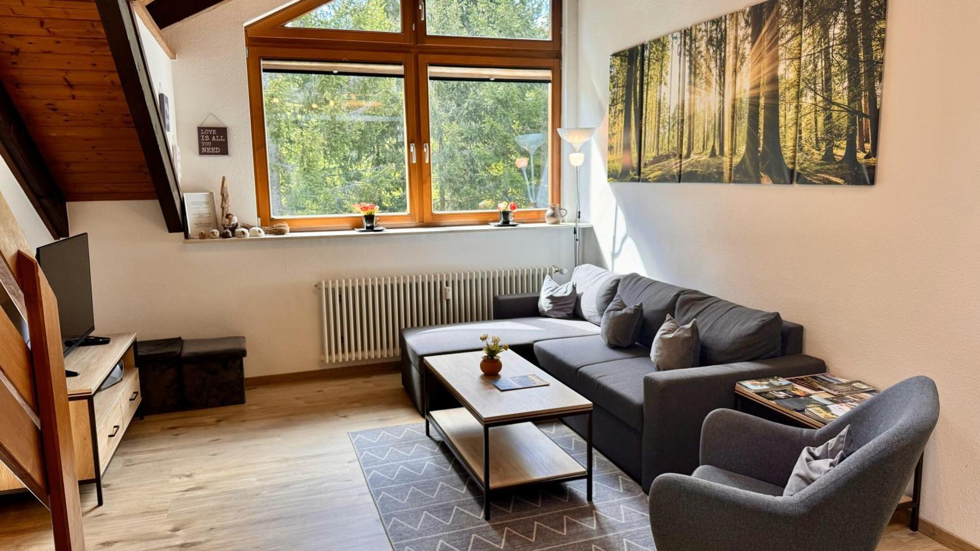 Waldlicht Titisee Luaran gambar